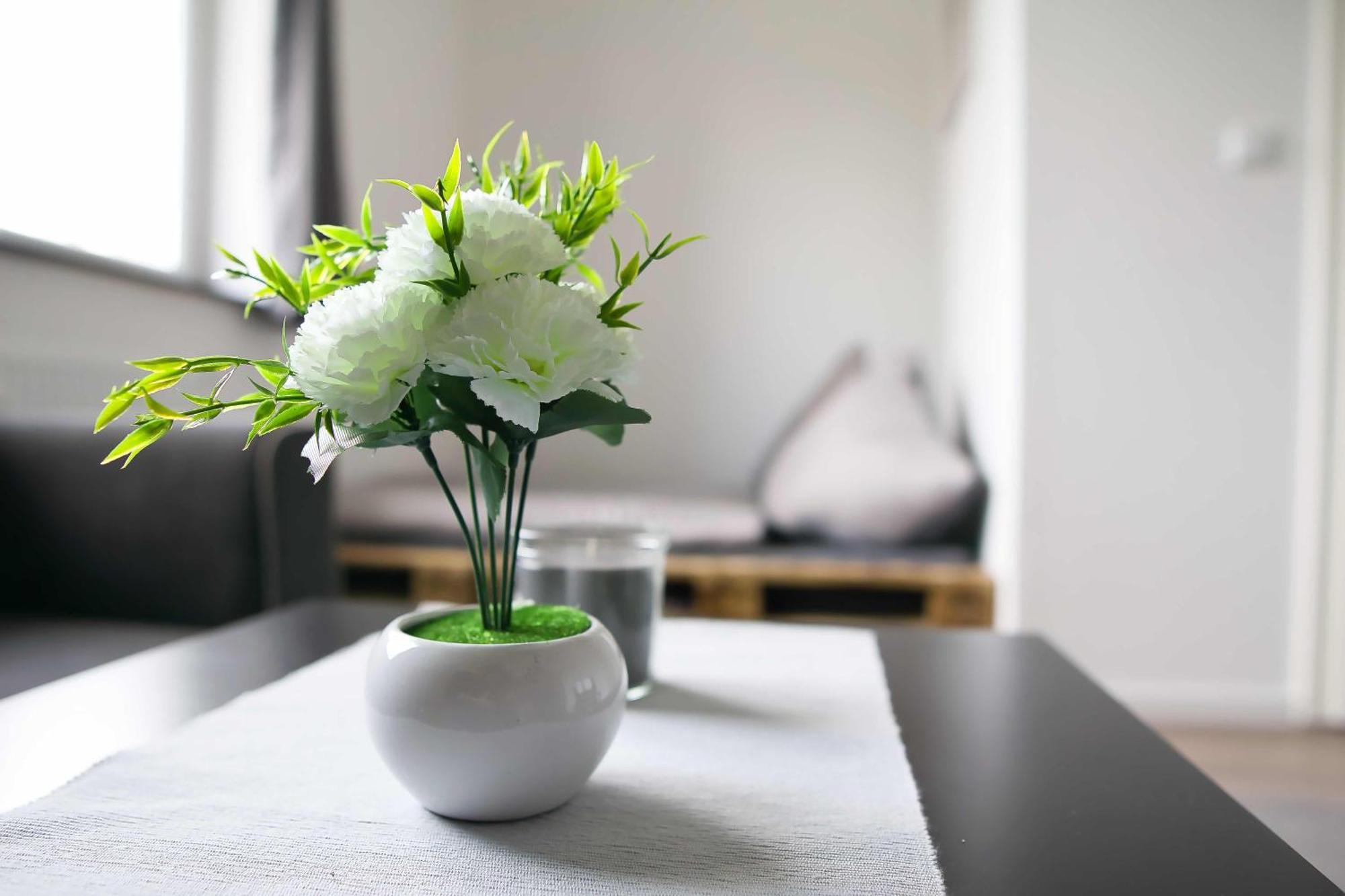 Heide Ferienwohnung Nord 슈네베르딘겐 외부 사진